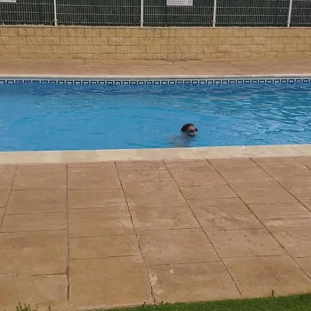 Apartamento Lo Xalador-delta D'ebre Deltebre